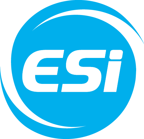 our ESI Partners 